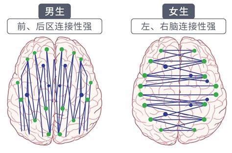 男人与女人|细数20个男女之间的差异！男人和女人的大脑到底有什。